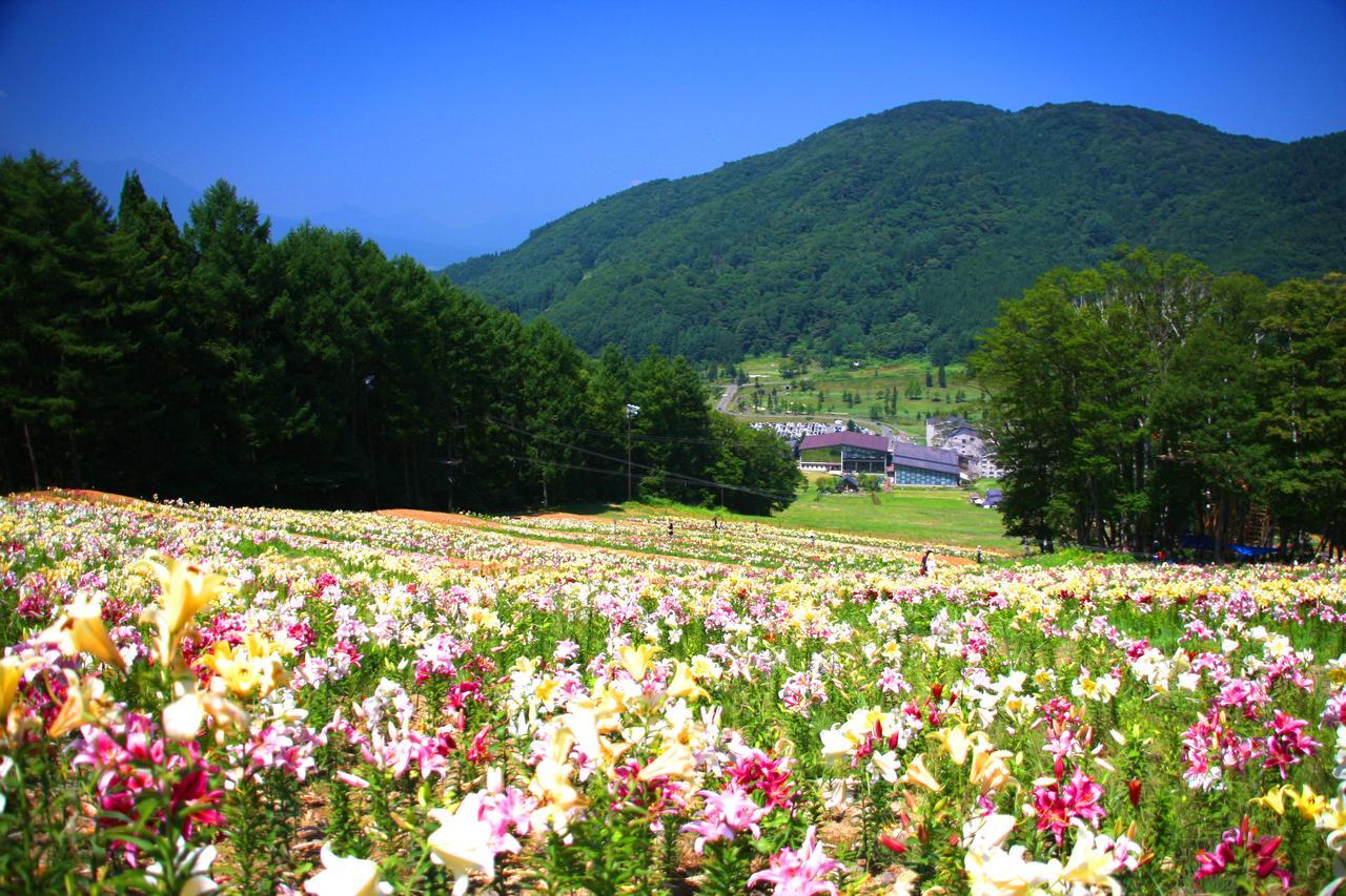 Hotel Harvest Madarao Shinano  Luaran gambar
